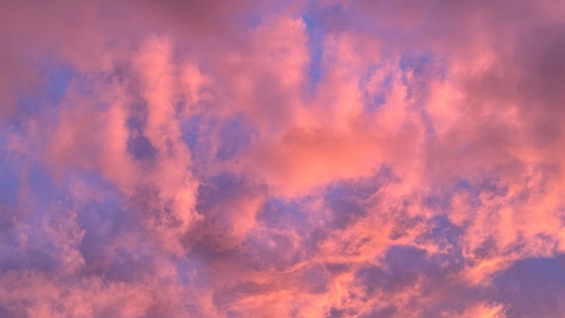 npxvip 每日大赛 不同参与目标的选择建议：冲榜、体验、练手怎么选